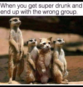 Stupid Bar Memes edu9i9jondojo