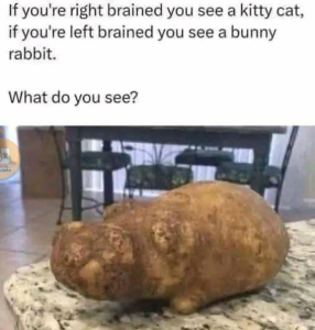 Stupid Bar Memes fbb45725f
