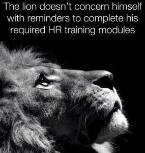 Stupid Bar Memes lionsdscompletingsr