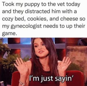 Stupid Bar Memes puppysvsstreatssgynecol