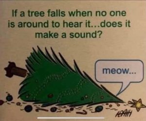 Stupid Bar Memes treesfallssnstoshear