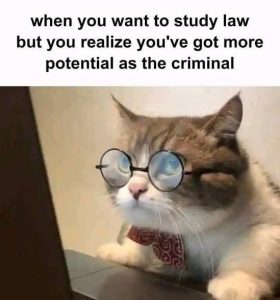 Stupid Bar Memes wantsorespotential
