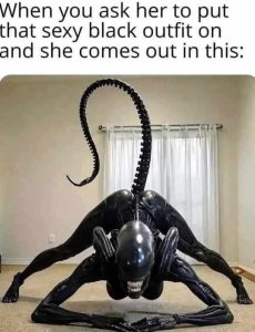Stupid Bar Memes wifessoutfitsalien