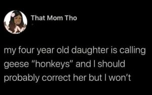 Stupid Bar Memes xsdaugseshonkeys