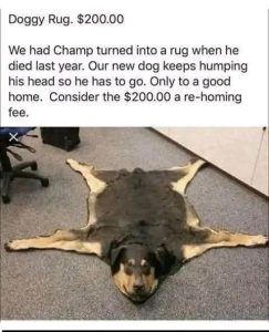 Stupid Bar Memes 3249a979dd