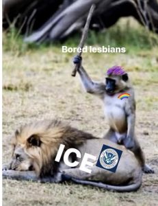 Stupid Bar Memes 6947cf498
