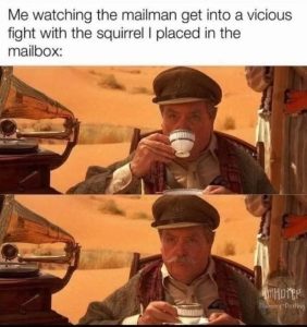 Stupid Bar Memes 926be742