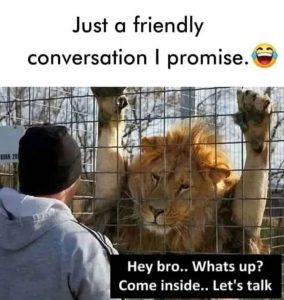 Stupid Bar Memes 9968s800553