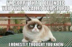 Stupid Bar Memes Jnc9NjAx