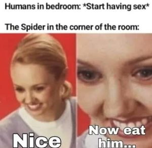 Stupid Bar Memes a0eGXoqssb
