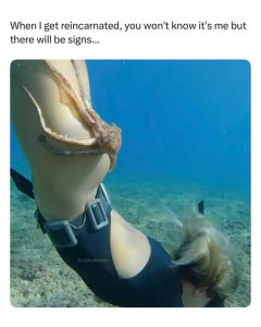 Stupid Bar Memes a0eGx6vssb