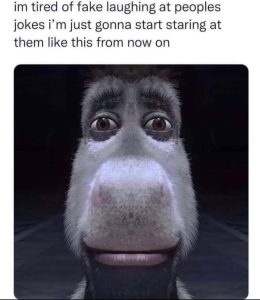 Stupid Bar Memes a0eg9qdssb