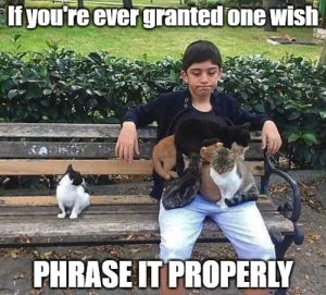 Stupid Bar Memes a1mnwA2ssb