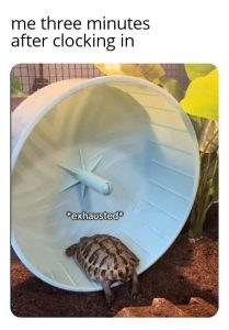 Stupid Bar Memes a2vVAjYssb