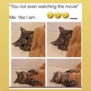 Stupid Bar Memes a5Qgepgssb