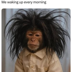 Stupid Bar Memes a7oB2erssb