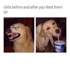 Stupid Bar Memes a7oBRPLssb