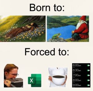 Stupid Bar Memes a7oBnErssb