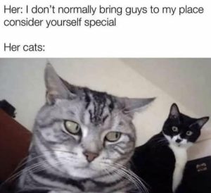 Stupid Bar Memes a8be3cfdbe