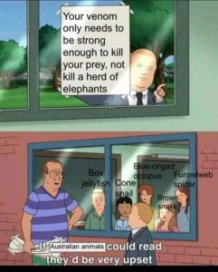 Stupid Bar Memes aAyA1G0ssb