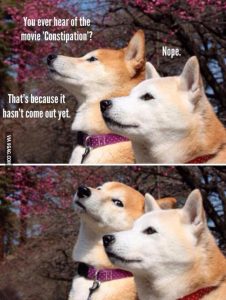 Stupid Bar Memes aAyAKL9ssb