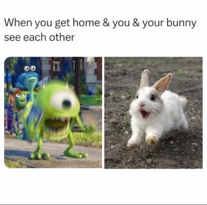 Stupid Bar Memes aAyAYZLssb