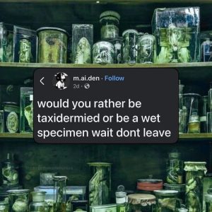 Stupid Bar Memes aByMVMzssb