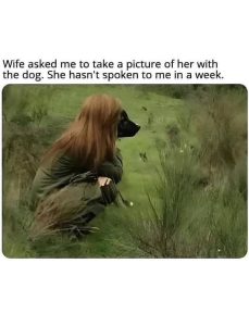 Stupid Bar Memes aByMjX2ssb