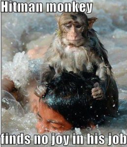 Stupid Bar Memes aE0bO1Nssb