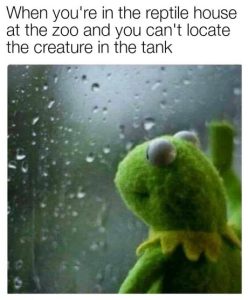 Stupid Bar Memes aGyq3bzssb