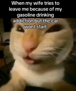 Stupid Bar Memes aGyvnezssb