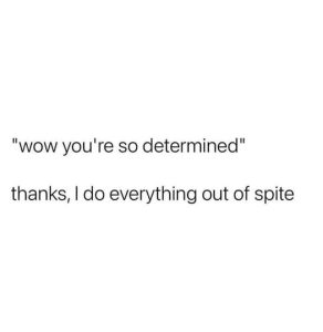 Stupid Bar Memes aLno9xxssb