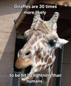 Stupid Bar Memes aLnoBL5ssb