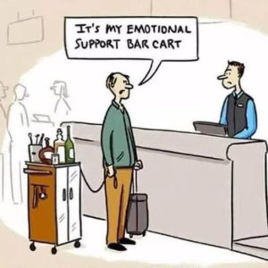 Stupid Bar Memes aO8EYnDssb