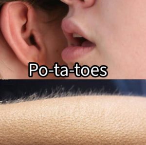 Stupid Bar Memes aO8O1Qvssb