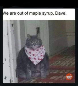 Stupid Bar Memes aPA0VrBssb