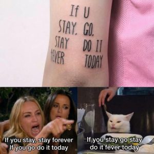 Stupid Bar Memes aRBGOQGssb