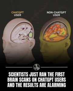 Stupid Bar Memes aRBW4g7ssb