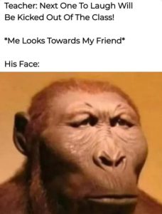 Stupid Bar Memes aVv89YOssb
