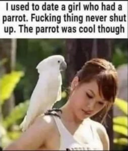 Stupid Bar Memes aW4AL1Kssb