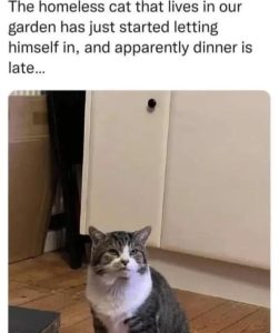 Stupid Bar Memes aYQ6y7vssb