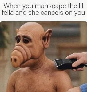 Stupid Bar Memes aZZKdNVssb
