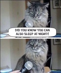 Stupid Bar Memes abADWOXssb