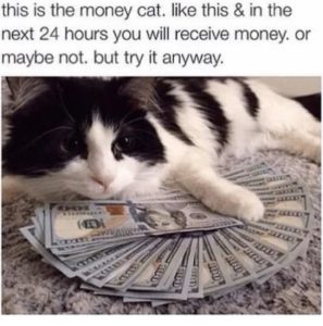 Stupid Bar Memes abADzrOssb