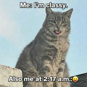 Stupid Bar Memes abAo2pbssb