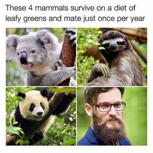 Stupid Bar Memes abAoNWOssb