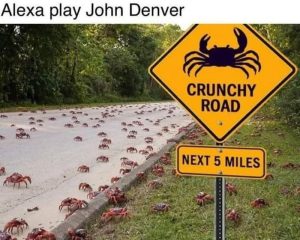 Stupid Bar Memes adBAooVssb