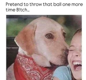 Stupid Bar Memes agmbZg6ssb