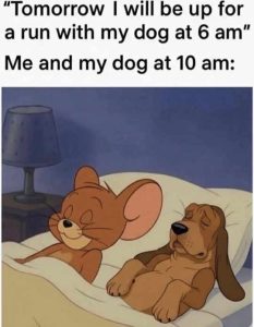 Stupid Bar Memes amsrunswithsdog