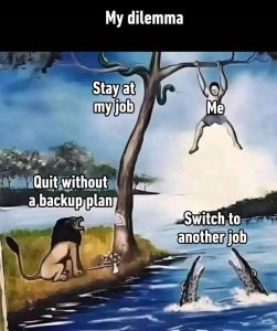 Stupid Bar Memes aoyoY0mssb